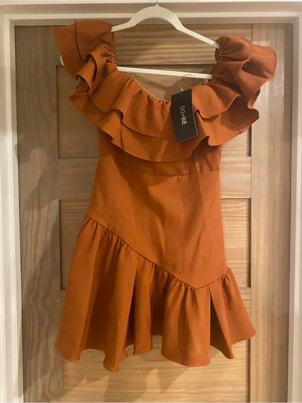DO+BE One-Shoulder Ruffle Mini Dress in Rust